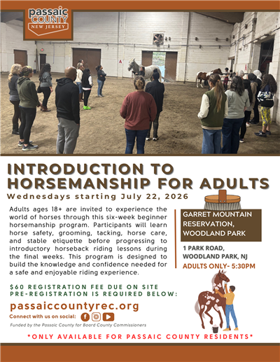 Flyer Flyer